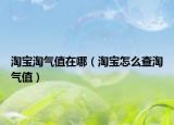 淘寶淘氣值在哪（淘寶怎么查淘氣值）