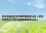 華為手機(jī)忘記華為賬號密碼怎么辦（華為手機(jī)忘記了自己設(shè)置的密碼怎么辦）