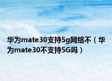 華為mate30支持5g網(wǎng)絡(luò)不（華為mate30不支持5G嗎）