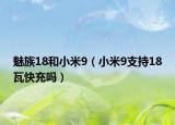 魅族18和小米9（小米9支持18瓦快充嗎）