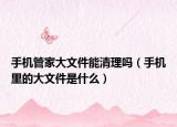 手機管家大文件能清理嗎（手機里的大文件是什么）