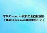 蘋果11maxpro死機怎么強制重啟（蘋果11pro max死機重啟不了）