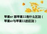 蘋果xr 跟蘋果11有什么區(qū)別（蘋果xr與蘋果11的區(qū)別）