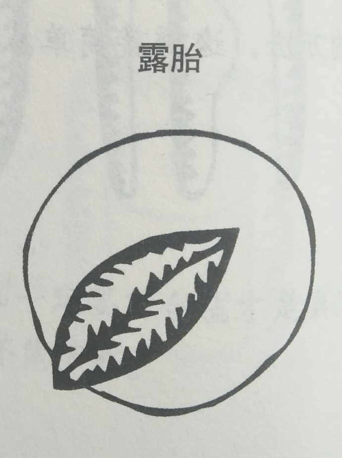 墳?zāi)癸L(fēng)水暗含玄機(jī)，何為兇墳？建議初學(xué)者加以收藏！