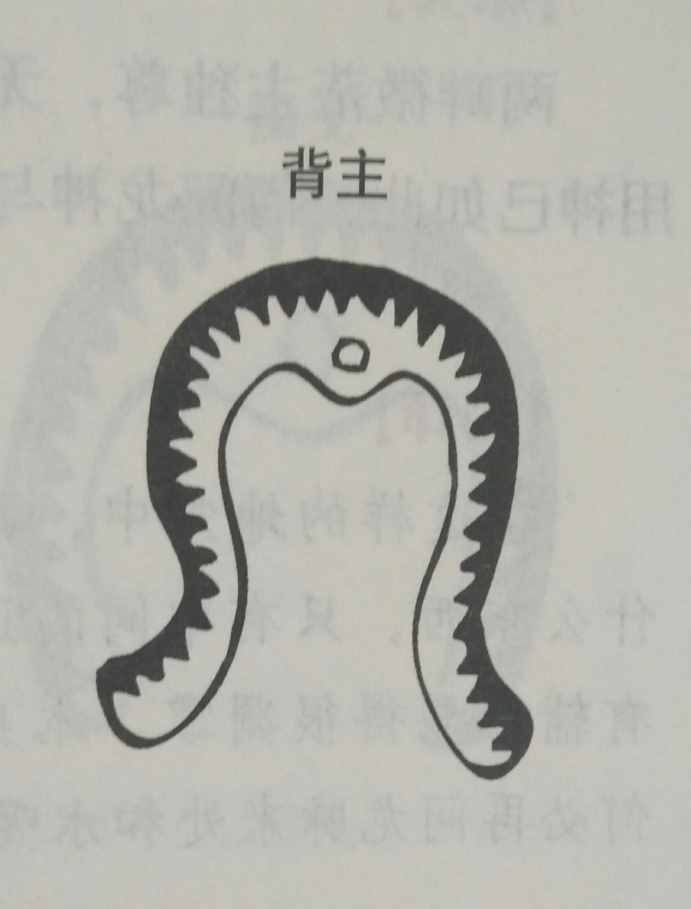 墳?zāi)癸L(fēng)水暗含玄機(jī)，何為兇墳？建議初學(xué)者加以收藏！