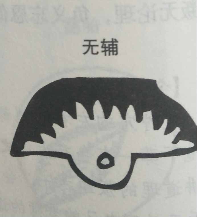 墳?zāi)癸L(fēng)水暗含玄機(jī)，何為兇墳？建議初學(xué)者加以收藏！