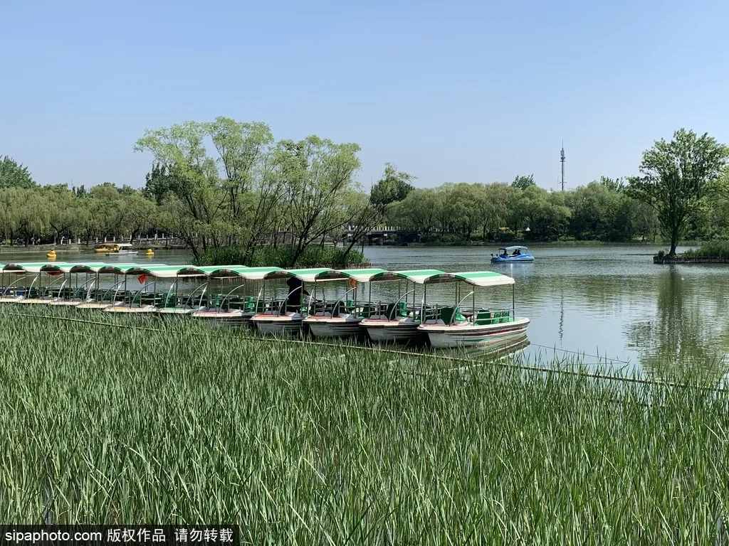 全部免費(fèi)！北京這些公園人少景美，還能放風(fēng)箏！假期去正好！