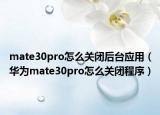 mate30pro怎么關閉后臺應用（華為mate30pro怎么關閉程序）