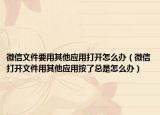 微信文件要用其他應用打開怎么辦（微信打開文件用其他應用按了總是怎么辦）