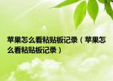 蘋果怎么看粘貼板記錄（蘋果怎么看粘貼板記錄）