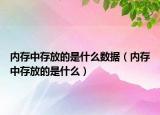 內(nèi)存中存放的是什么數(shù)據(jù)（內(nèi)存中存放的是什么）