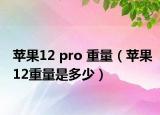 蘋果12 pro 重量（蘋果12重量是多少）