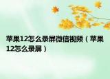蘋果12怎么錄屏微信視頻（蘋果12怎么錄屏）