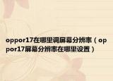 oppor17在哪里調屏幕分辨率（oppor17屏幕分辨率在哪里設置）