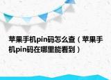 蘋果手機pin碼怎么查（蘋果手機pin碼在哪里能看到）