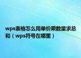 wps表格怎么用單價乘數(shù)量求總和（wps符號在哪里）