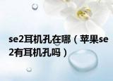 se2耳機(jī)孔在哪（蘋果se2有耳機(jī)孔嗎）
