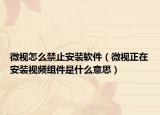 微視怎么禁止安裝軟件（微視正在安裝視頻組件是什么意思）