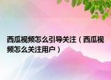 西瓜視頻怎么引導(dǎo)關(guān)注（西瓜視頻怎么關(guān)注用戶）