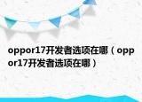 oppor17開發(fā)者選項在哪（oppor17開發(fā)者選項在哪）