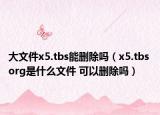 大文件x5.tbs能刪除嗎（x5.tbs org是什么文件 可以刪除嗎）
