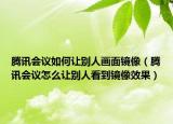 騰訊會議如何讓別人畫面鏡像（騰訊會議怎么讓別人看到鏡像效果）