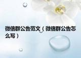 微信群公告范文（微信群公告怎么寫）