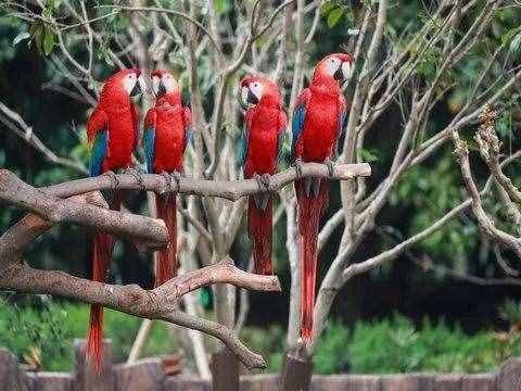 去處｜你真的知道怎么玩轉(zhuǎn)上海野生動(dòng)物園嗎？最全指南在這里！