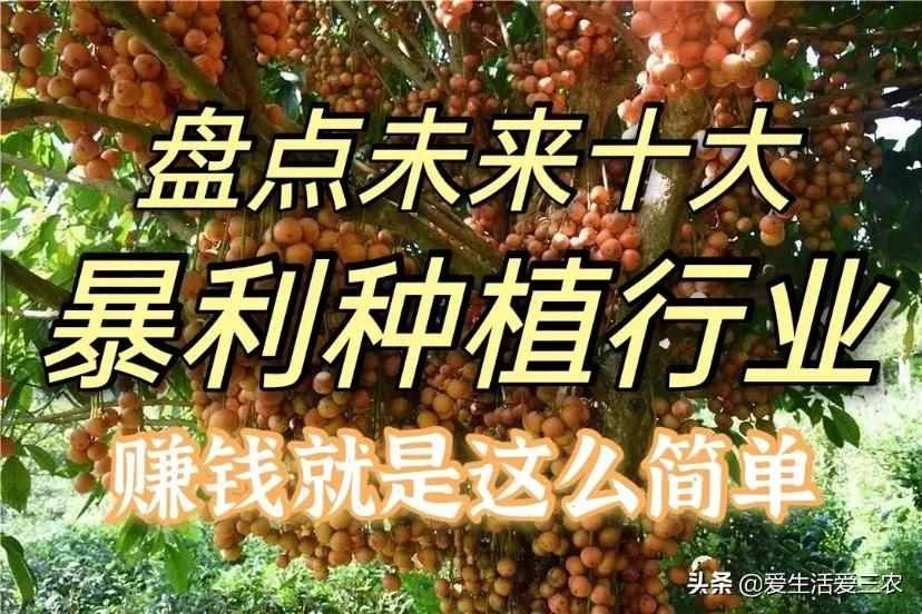 十大暴利種植項(xiàng)目，原來農(nóng)村賺錢真不難，建議收藏