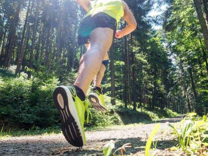 一個顛覆的研究：定期進行空腹跑，對身體是有益的