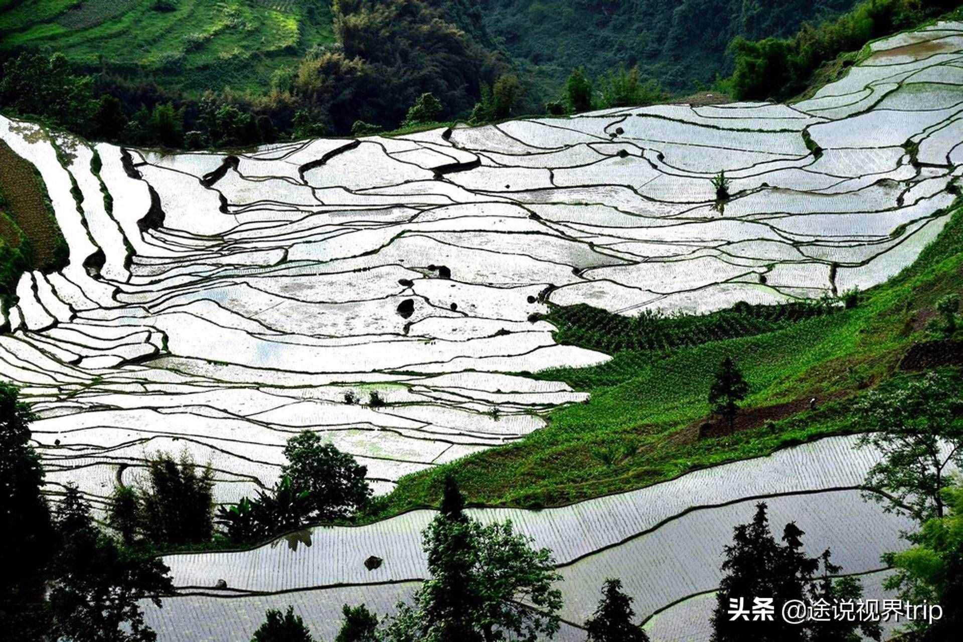 中國(guó)10大最美的梯田景觀，千年雕塑出來(lái)的仙境，如詩(shī)如畫(huà)美不勝收