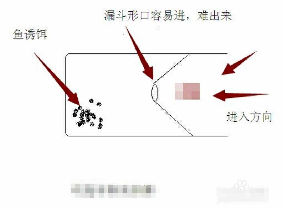 想不到飲料瓶還有這用處，制作簡(jiǎn)易捕魚、蝦工具