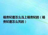 楊貴妃是怎么當(dāng)上楊貴妃的（楊貴妃是怎么死的）