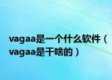 vagaa是一個(gè)什么軟件（vagaa是干啥的）