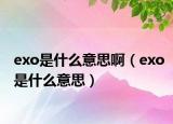 exo是什么意思?。╡xo是什么意思）