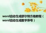 word自動生成舒爾特方格教程（word自動生成數(shù)字序號）