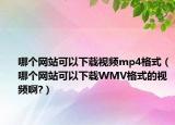 哪個(gè)網(wǎng)站可以下載視頻mp4格式（哪個(gè)網(wǎng)站可以下載WMV格式的視頻啊?）