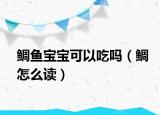 鯛魚(yú)寶寶可以吃嗎（鯛怎么讀）