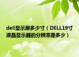 dell顯示屏多少寸（DELL19寸液晶顯示器的分辨率是多少）