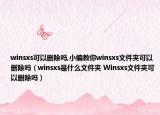 winsxs可以刪除嗎,小編教你winsxs文件夾可以刪除嗎（winsxs是什么文件夾 Winsxs文件夾可以刪除嗎）