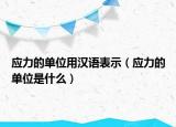 應(yīng)力的單位用漢語表示（應(yīng)力的單位是什么）