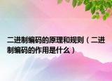 二進(jìn)制編碼的原理和規(guī)則（二進(jìn)制編碼的作用是什么）