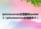 iphonexsmax處理器和ipadair3（iphonexsmax處理器多少）