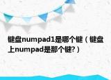 鍵盤(pán)numpad1是哪個(gè)鍵（鍵盤(pán)上numpad是那個(gè)鍵?）