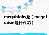 megabloks龍（megalodon是什么龍）