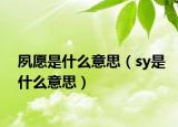 夙愿是什么意思（sy是什么意思）