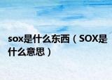 sox是什么東西（SOX是什么意思）