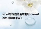 word怎么自動生成編號（word怎么自動編頁碼）
