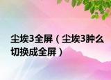 塵埃3全屏（塵埃3腫么切換成全屏）