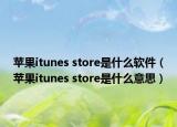 蘋果itunes store是什么軟件（蘋果itunes store是什么意思）